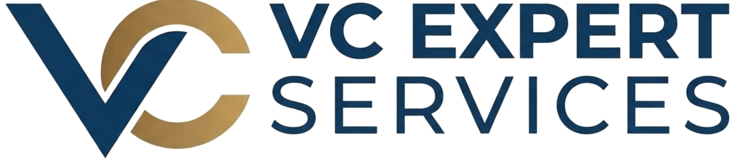 VC Expert Services Logo